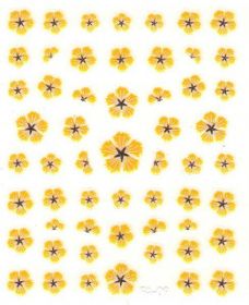 Flower Stickers - Čakanka žltá