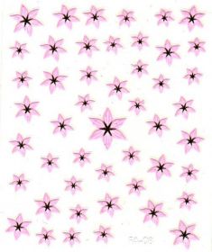 Flower Stickers - Hviezdičkové ružové