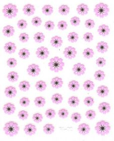 Flower Stickers - Klinček fialkový