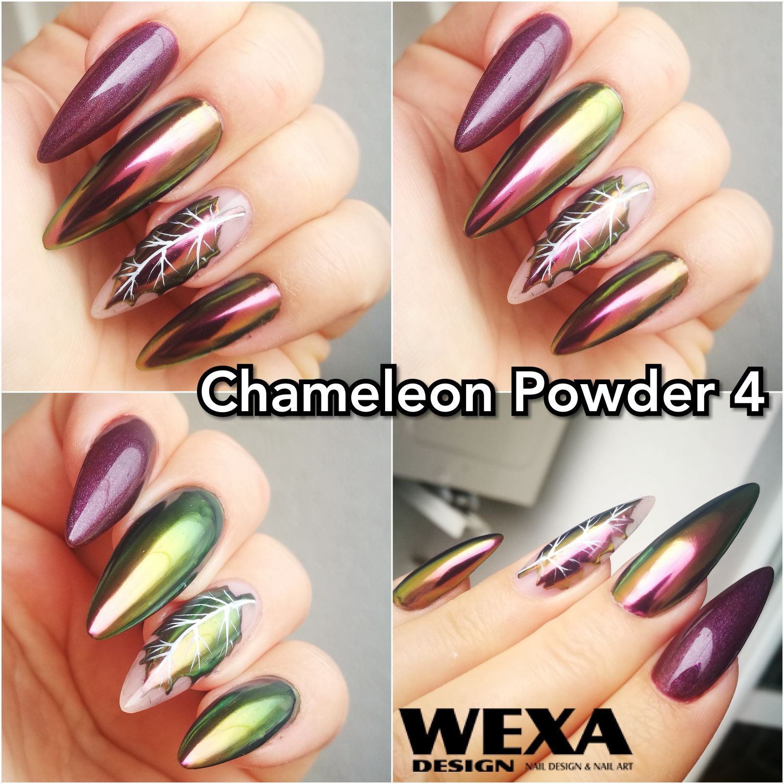 Chameleon Chrome Powder 4