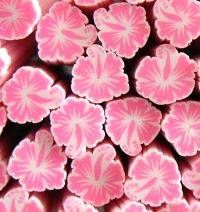 FIMO tyčinka - Hybiscus krikľavo ružový