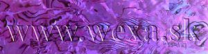 Mušle pláty - A purple #11