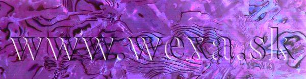 Mušle pláty - A purple #11