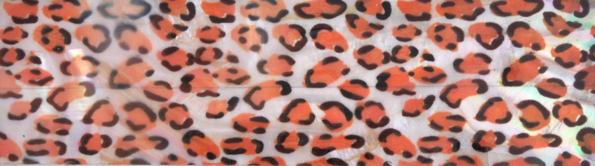 Mušle pláty - Gepard